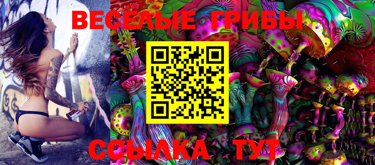 Псилоцибиновые грибы MAGIC MUSHROOMS  Галлюциногенные грибы Psilocybe  Вход с VPN  Мценск 