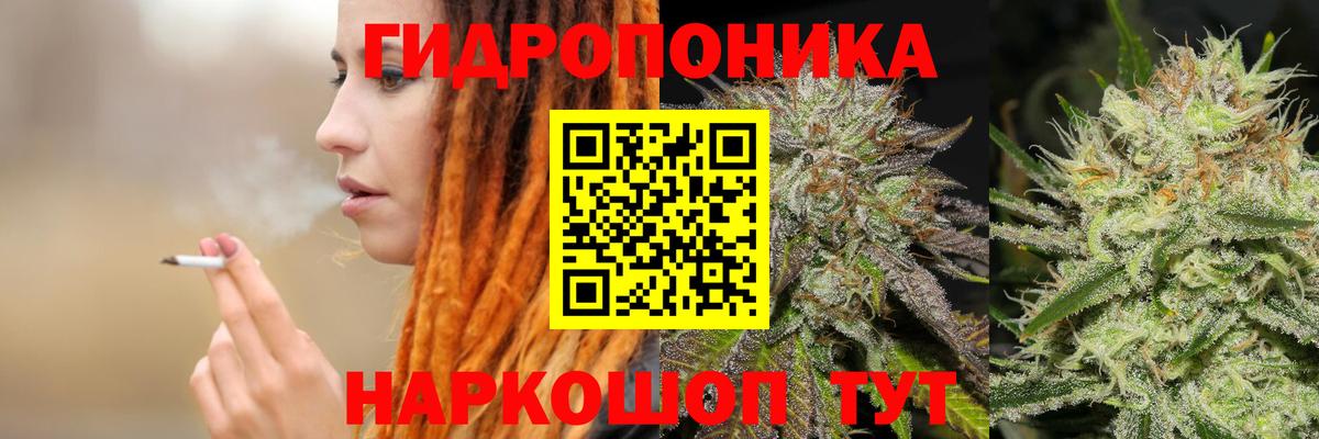 Мценск  МАРИХУАНА тримм  Бошки марихуана семена  Вход с VPN  Шишки марихуана AK-47 